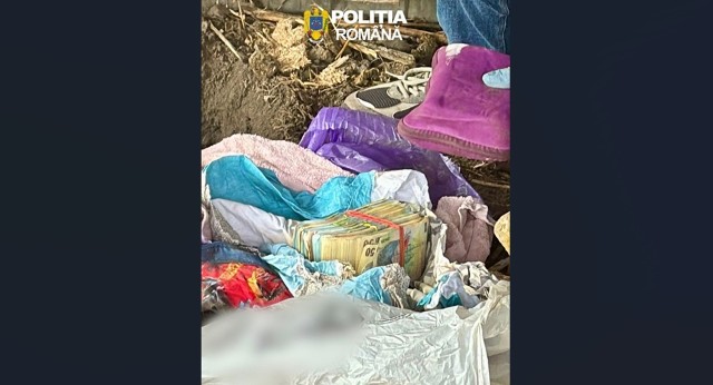 Poza articol