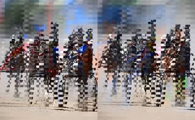 UPDATE. Calendarul curselor de trap, în 2026. Evenimentele pe Hipodromul Ploiești ar trebui să înceapă în această săptămână