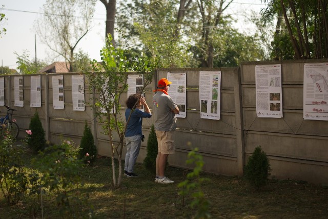 Asociația Ploiești pentru oameni anunță câștigătorii concursului de imaginație civică Locuri în devenire