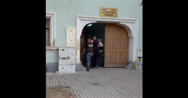 Poza articol