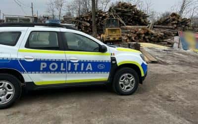 O firmă din Puchenii Mari este cercetată pentru infracțiuni din domeniul silvic. Cum au descoperit polițiștii schema penală