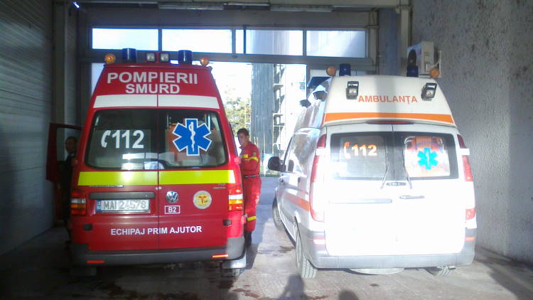 Poza articol