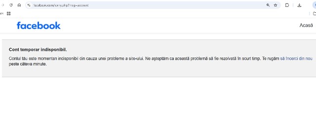 Poza articol
