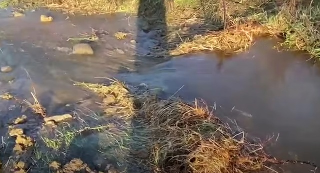 VIDEO 🎦 ESZ Prahova reclamă o avarie majoră în zona Plopeni. Alimentarea cu apă, întreruptă pentru aproximativ 48 de ore