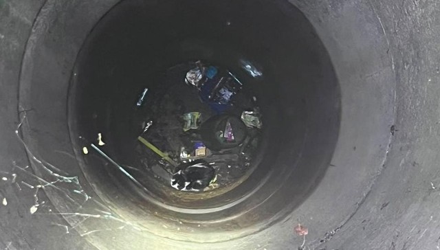 FOTO 📸 “Misiunea pompierilor rămâne aceeași: să intervină acolo unde este nevoie și să facă tot ce le stă în putință pentru a reda siguranța”. Astăzi o pisică a fost scoasă dintr-o fântână dezafectată