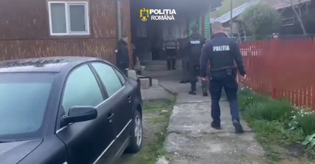 Poza articol