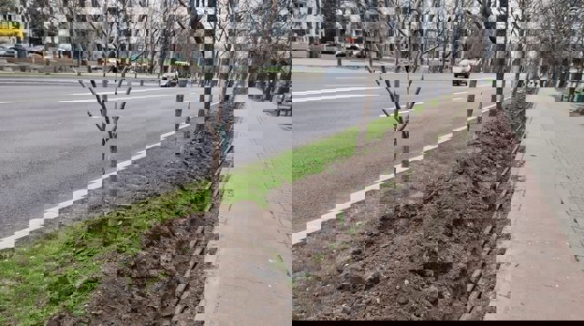 PLOIEȘTI. Sisteme moderne de aspersie, pentru întreținerea zonelor verzi de pe Bulevardul Castanilor