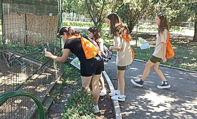 Concursuri de orientare sportivă, pentru copii, la Parcul Bucov