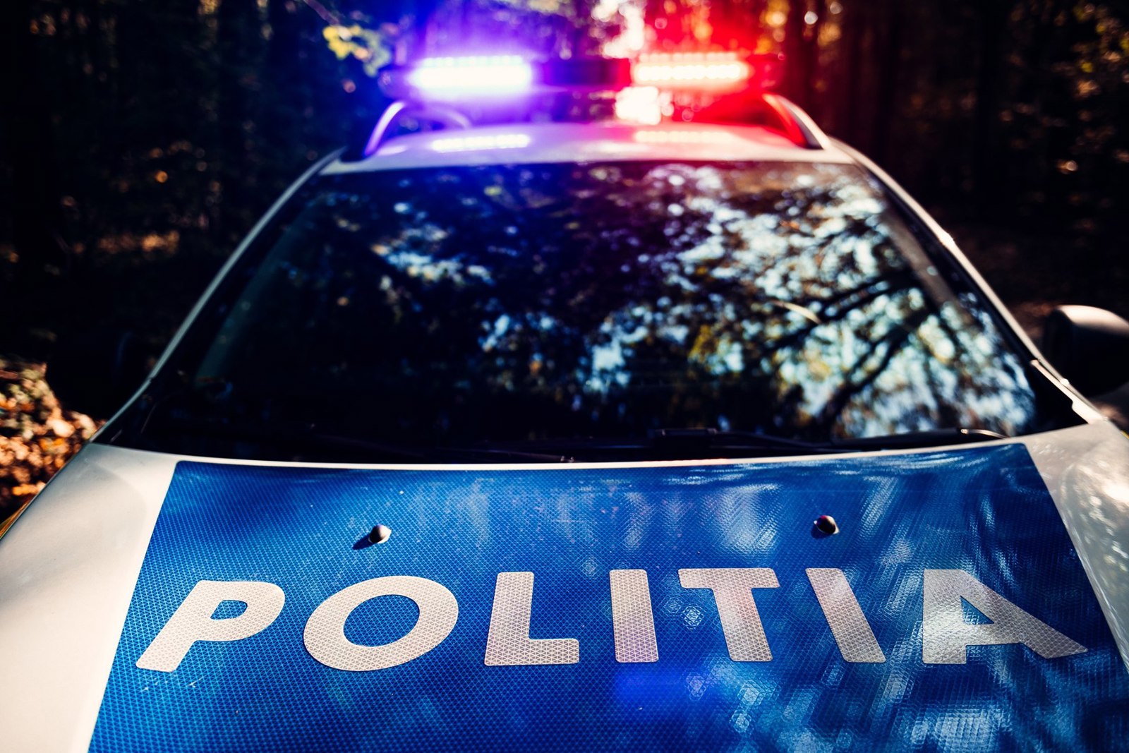 A văzut polițiștii, a încercat s-o întoarcă ca la Ploiești și s-a ales cu dosar penal