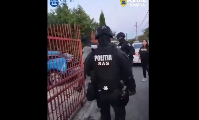 VIDEO 🎦 Percheziții în Prahova, într-un dosar de proxenetism. Suspecții foloseau locații din Câmpina