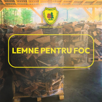 Romsilva pune la dispoziţia populaţiei aproximativ 2 milioane de metri cubi de lemn pentru foc în 2026
