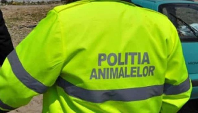 Amenzi usturătoare aplicate unui prahovean, pentru modul în care are grijă de animalele din gospodărie