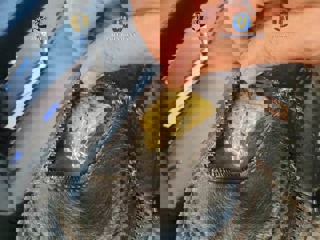 Traficant de droguri prins în flagrant, la Ploiești. Vindea canabisul cu 50-60 de lei/gram