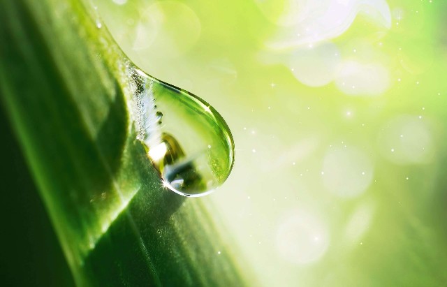 Fundația Comunitară Prahova susține comunitatea pentru un viitor verde. Atelier gratuit din cadrul Cluburilor EcoStart, pe tema Calitatea apei și protejarea resurselor naturale,