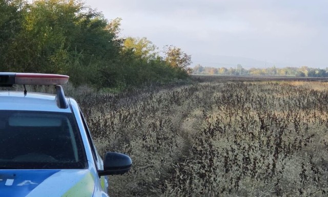 Bărbatul dispărut la Colceag, căutat de polițiști și localnici, a fost găsit decedat