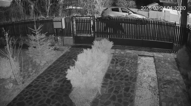 VIDEO 🎦 Urs pe stradă, la Breaza, marți dimineață. Animalul și-a făcut apariția în zona spitalului