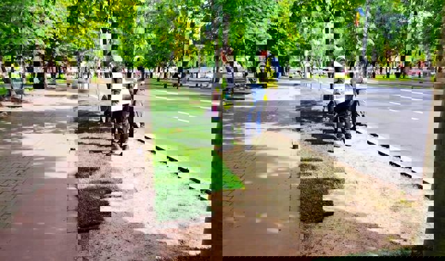 Rulouri de gazon sunt montate, zilele acestea, de SGU, pe Bulevardul Castanilor și în două parcuri din Ploiești