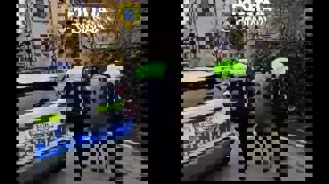 VIDEO 🎦 Băut și fără permis, în zori, pe DN1. Șoferul a fost reținut sâmbătă dimineață, la Sinaia 