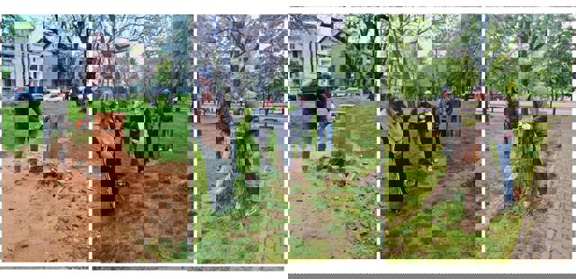 Tinerii de la Colegiul de Artă „Carmen Sylva” vor transforma cioturile de pe Bulevardul Independenței în lucrări de artă urbană